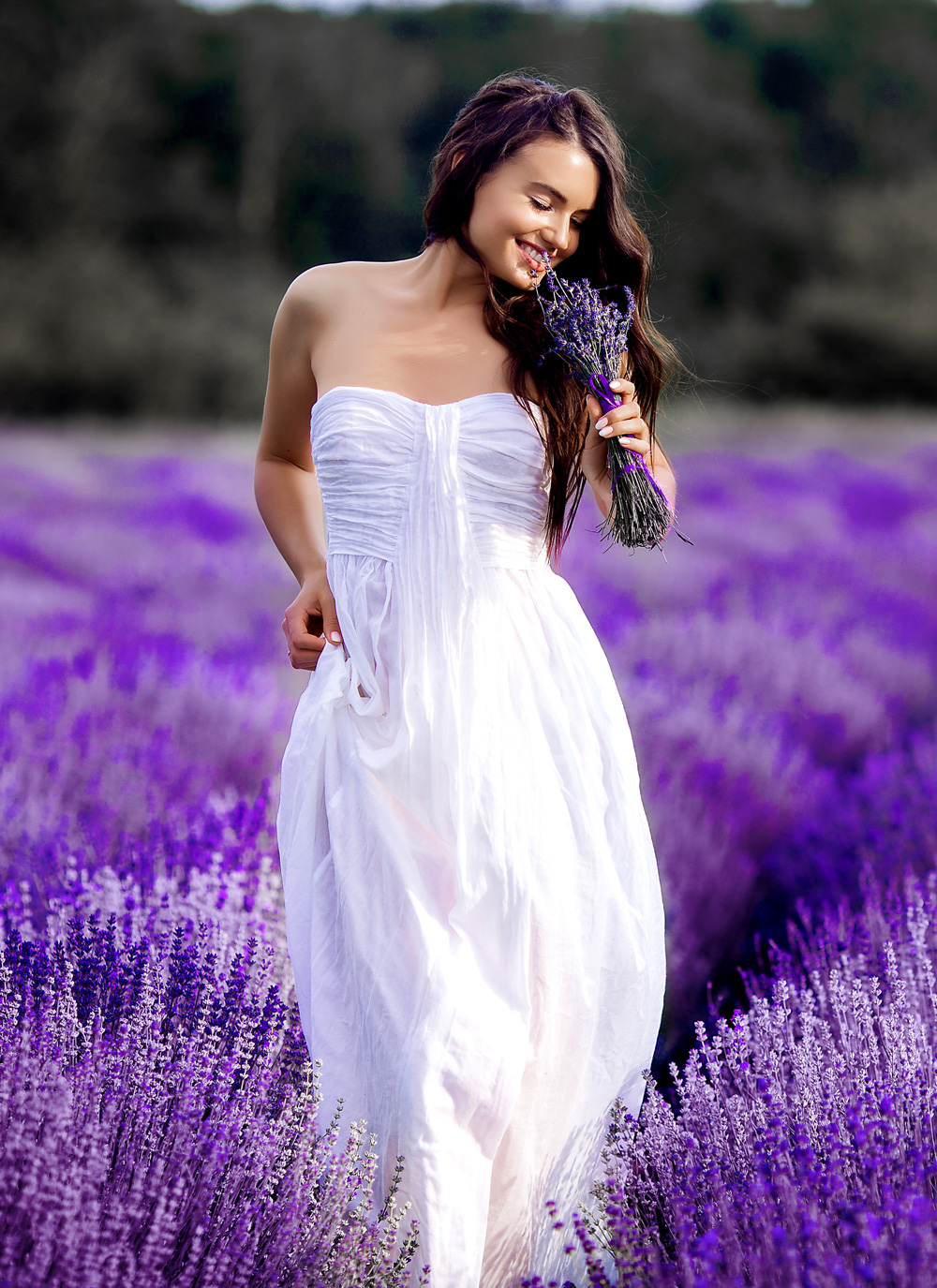 lavender whisper